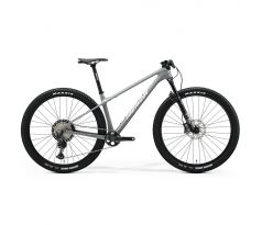 Merida BIG.NINE XT šedý(strieborný) 2025