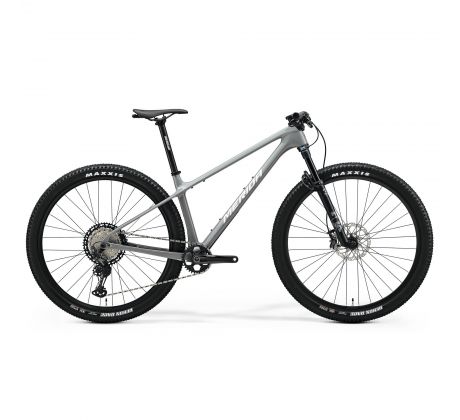 Merida BIG.NINE XT šedý(strieborný) 2025