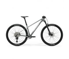 Merida BIG.NINE 3000 šedý(strieborný) 2025