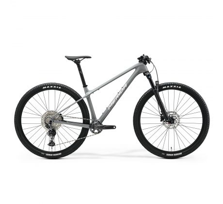 Merida BIG.NINE 3000 šedý(strieborný) 2025
