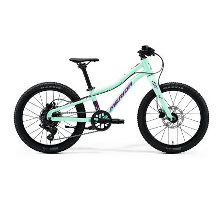 Merida MATTS J.20+ matný mätový(fialový/biely/čierny) 2026