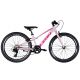 Leon JUNIOR 24" AL Vbr pink with crimson 2025