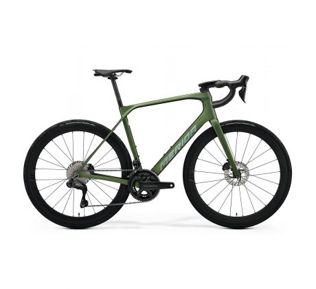 Merida SCULTURA ENDURANCE 8000 matný zelený(strieborný) 2026