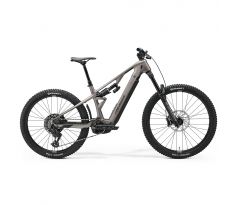 Merida LITHOS 6000 šedý(zlatý čierny) 2027