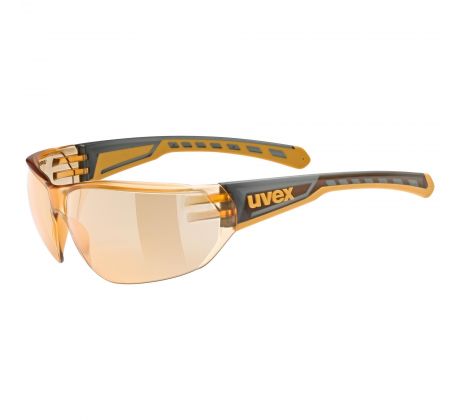 Okuliare Uvex equate smoke-orange/orange s1